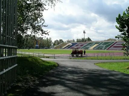 Маи город лесной