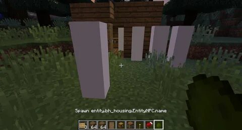 Entity texture features
