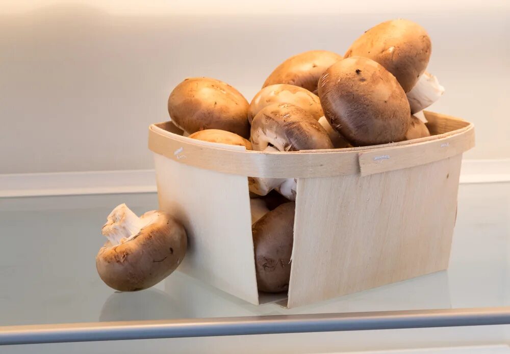 Грибы в холодильнике. Грибы в холодильнике коричневые. Как хранить грибы в холодильнике. Выросли грибы в холодильнике.