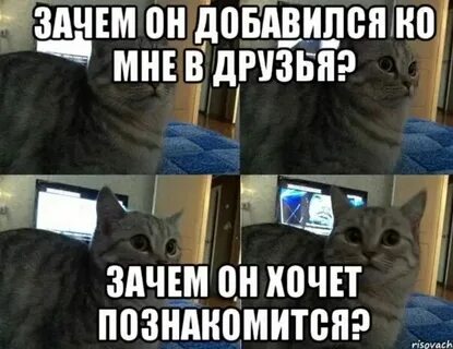 Я не понимаю зачем тебе я