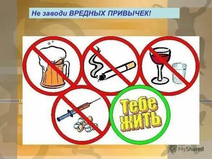 Вредная привычка 7