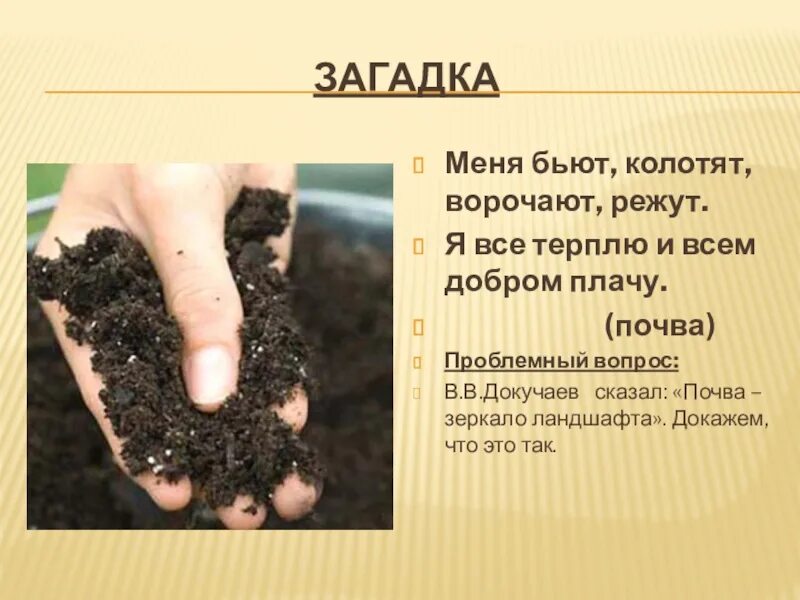 Пословицы о земле кормилице и растениях