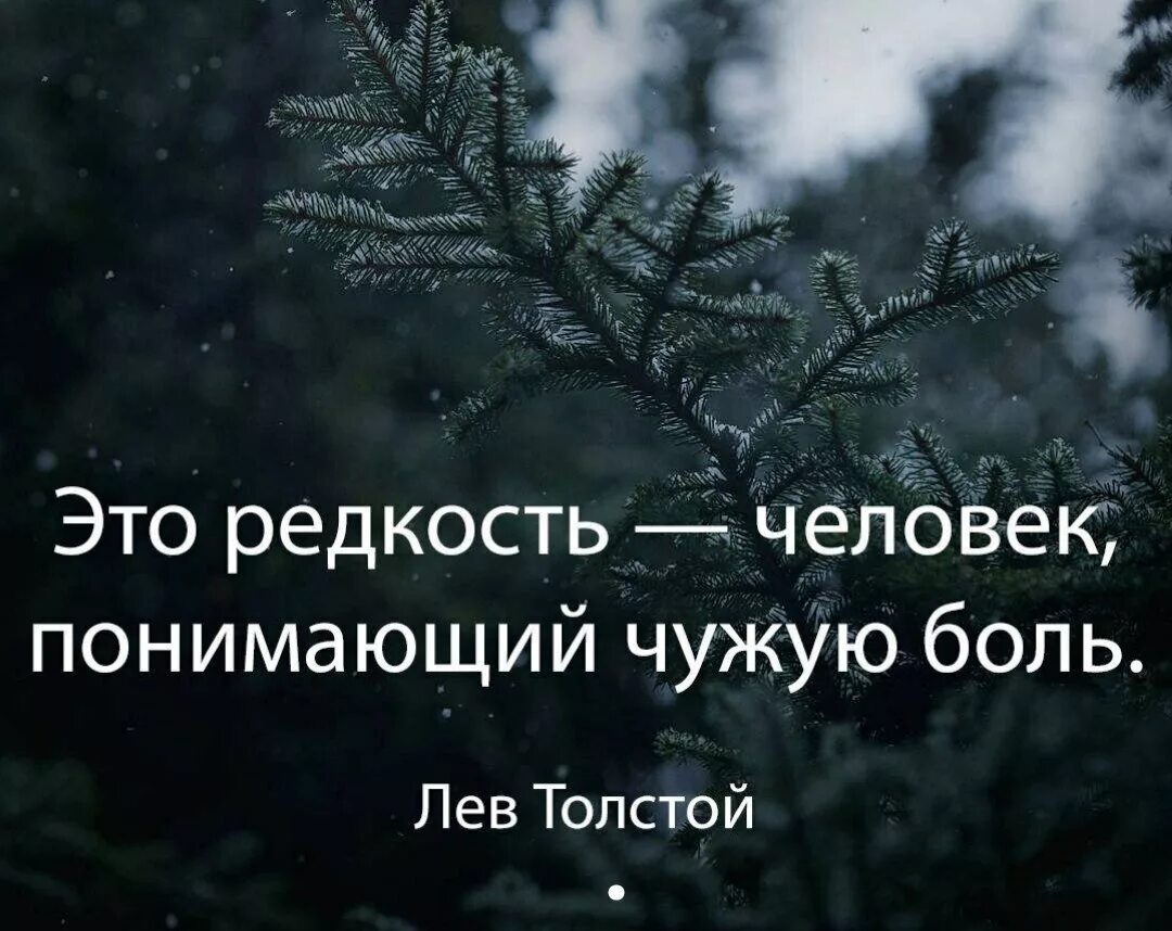 Статус в вк про жизнь. Цитаты со смыслом. Красивые фразы. Высказывания для статуса. Красивые цитаты.