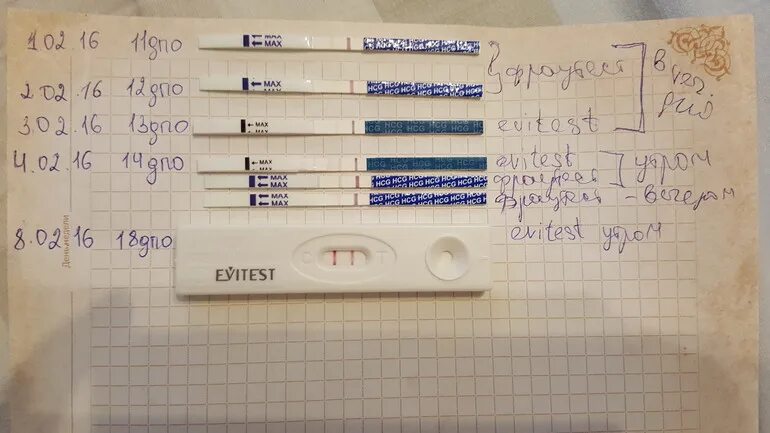 Тест на хгч показатели беременности. 16 дпо тест. Бхб беременность хгч. Хгч тест на беременность. Эвитест динамика хгч.