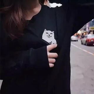Кот и шмот