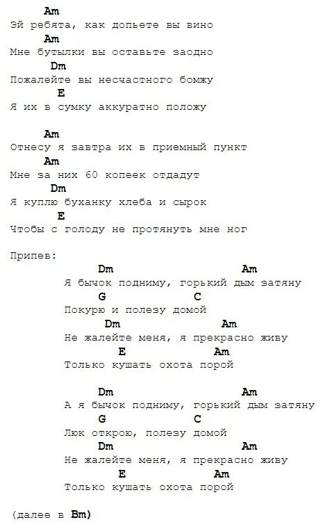 Бомж сектор газа аккорды для гитары. Бомж слова сектор газа слова. Сектор газа бомж текст аккорды. Песня бомж сектор газа текст. Музыка сектор газа бомж