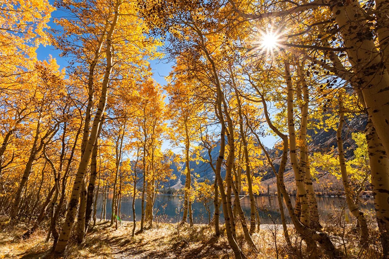 солнце октябрь. солнце октябрь. солнечная осень. осеннее солнце. осень солнце.
