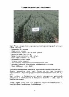 Характеристика сорта овса