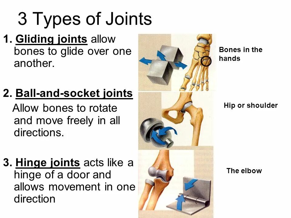 Allow joining. Types of Joints. 3 Types of Joints. Moving Joints and fixed Joints. Type j Johnson Rotary Pressure Joints.