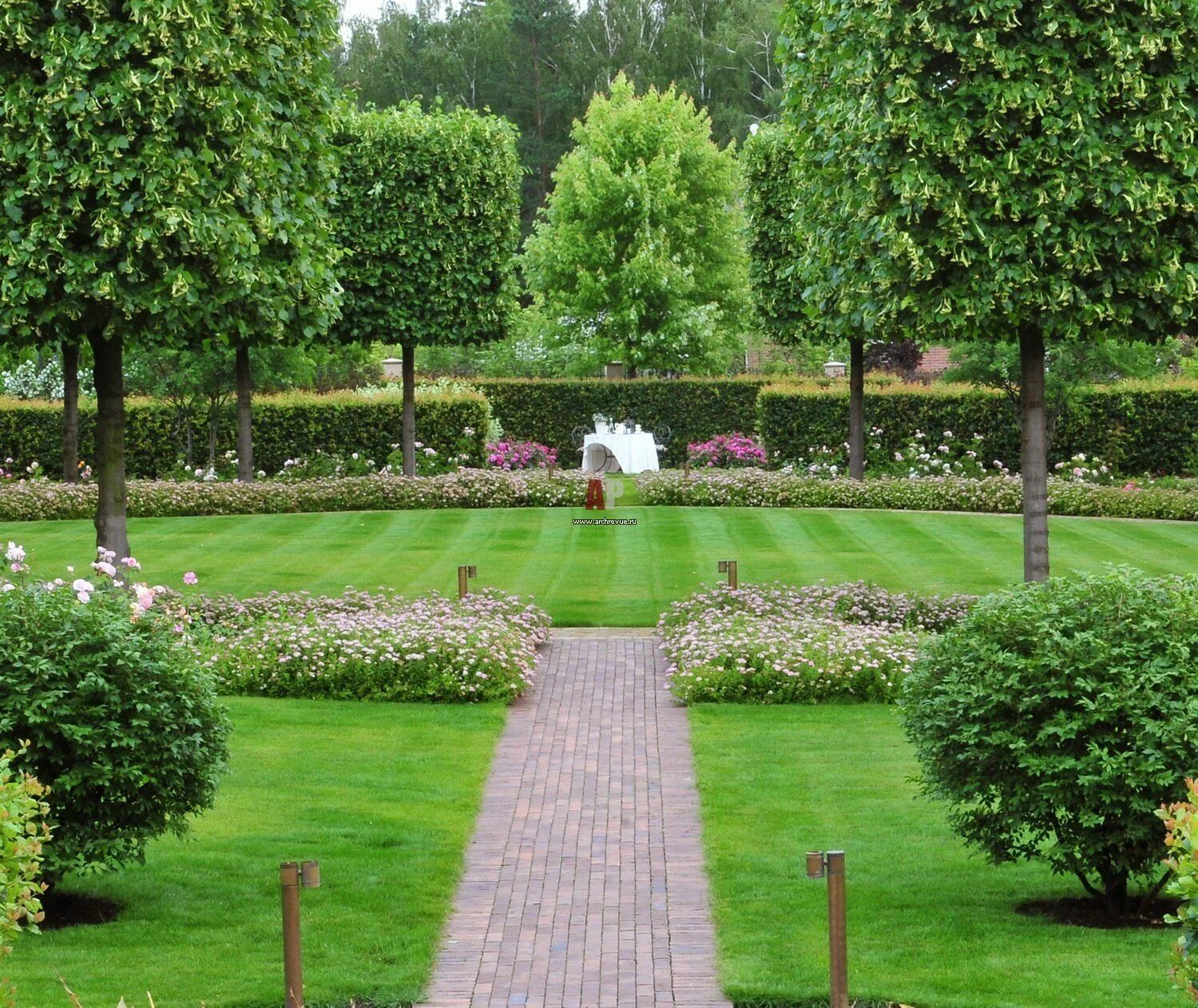 Живая изгородь французский парк Палисад Версаль. Живая изгородь французский сад Палисад. Гривко ландшафтный дизайнер.