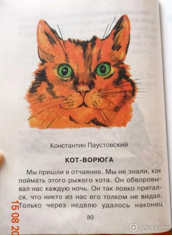 Основная мысль текста про кота. Книга кот ворюга Паустовский. Кот ворюга рассказ Константина Паустовского. Рассказ Константина Паустовского кот. Рассказ кот ворюга 3 класс.