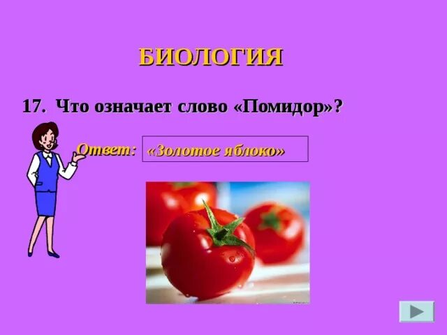Какое окончание в слове помидор. Слово помидор. фразеологизм со словом помидор. что означает слово помидор. золотое яблоко презентация.