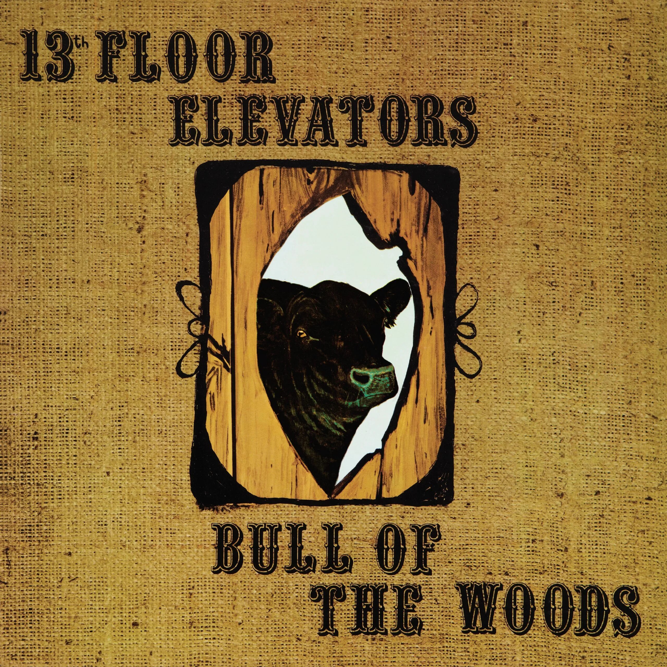 13th floor. Группа 13th Floor Elevators. 13 Floor Elevators. Bull of the Woods 13th Floor Elevators, the. 13th Floor Elevators Постер.