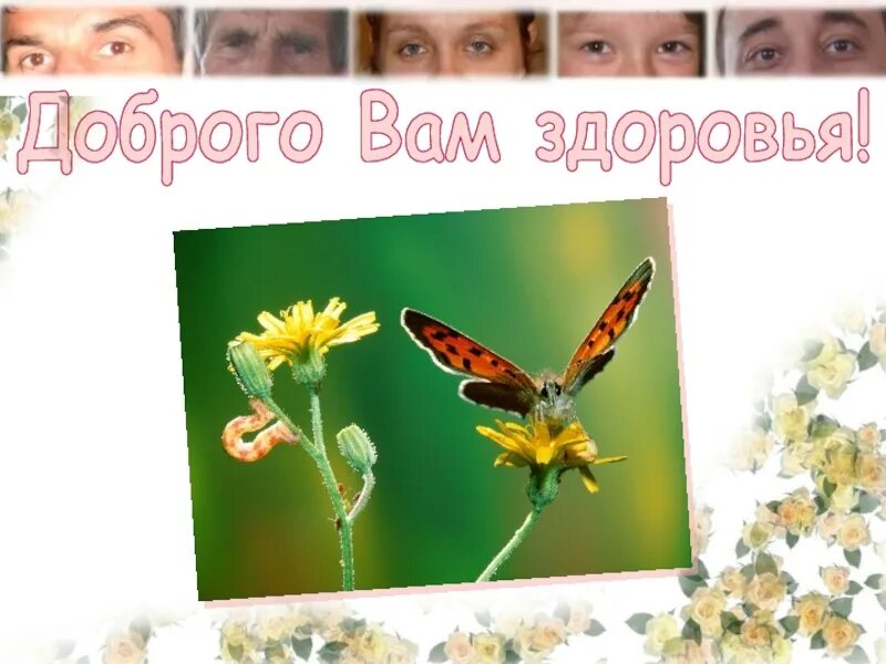 Желаю вам здоровья. Музыка и здоровье. Музыка для здоровья и исцеления. Крепкого вам здоровья. Песенки про здоровье для детей дошкольного возраста.