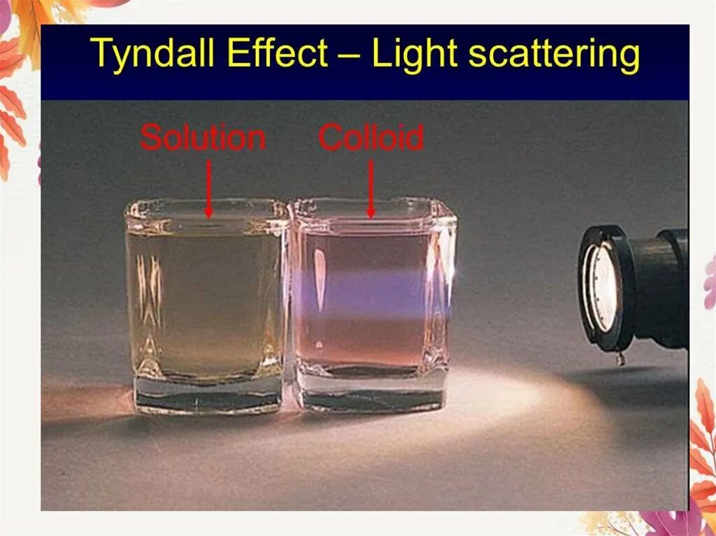 Опалесценция и эффект Тиндаля. Эффект Тиндаля. Феномен Тиндаля. Конус Тиндаля в коллоидных растворах.
