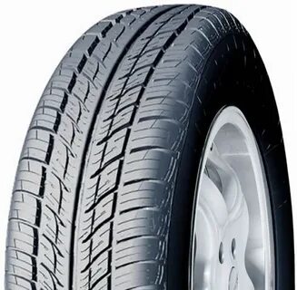 Tigar r14