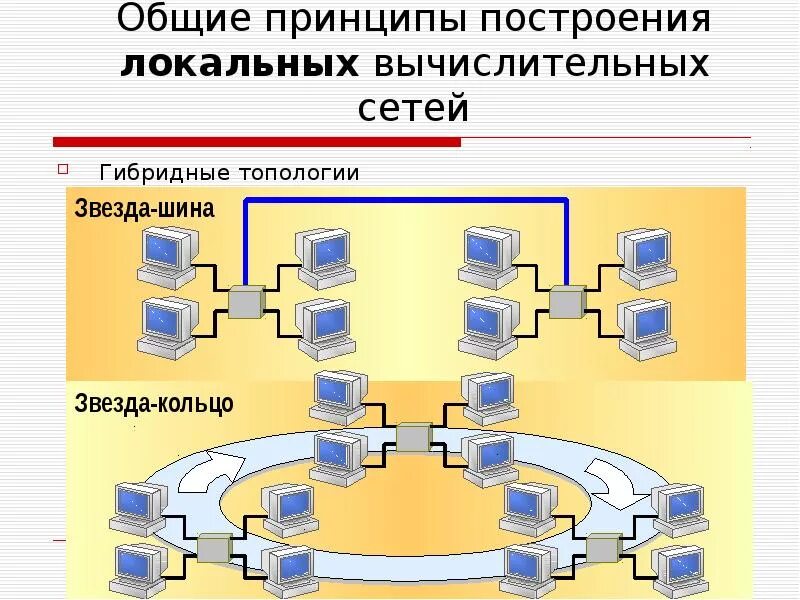 Общий построение. Топология сети 1с. Принцип построения локальной сети. Топологии построения компьютерных сетей. Принципы построения ЛВС.
