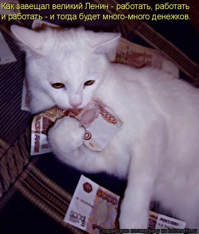 Песня все есть нечего есть
