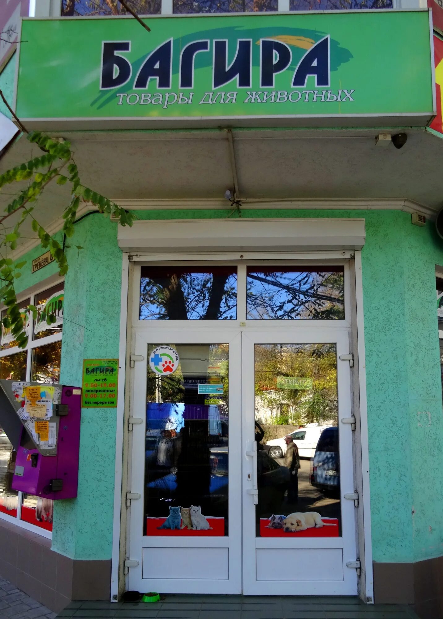 магазин багира симферополь. зоомагазин багира симферополь. козлова 27 керчь ветаптека. зоомаркет симферополь багира. ветаптека симферополь.