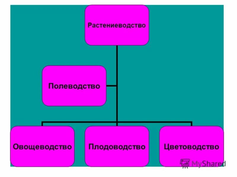 Растениеводство презентация. Растениеводство цель. Профессии растениеводства 3 класс. Технологии развития растениеводства. Проект растениеводство 4 класс окружающий мир.