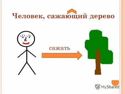 Дерево причастия