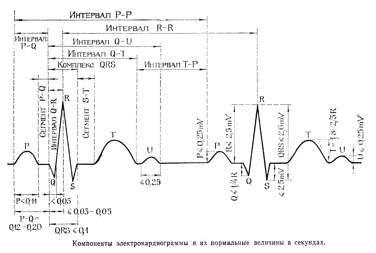 Экг со скольки. ЭКГ нормальные показатели расшифровка. Показатели нормальной ЭКГ таблица. Нормальные показатели зубцов и интервалов ЭКГ. QRS норма ЭКГ.