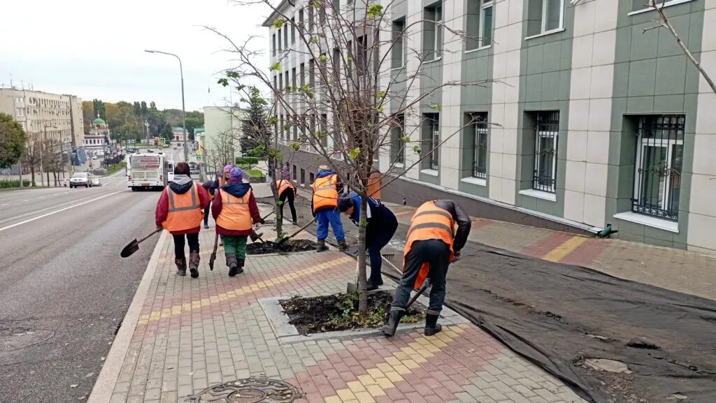 Липецк Московская улица 2 МУП Зеленхоз. Города без тротуаров. Люди на улицах Омска. Тротуары Липецка. Все кто выйдет на улицу погибнет