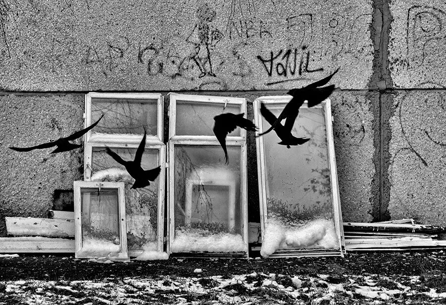 Что значат черно белые сны. Что значат черно белые сны. Чёрно-белые дни чёрно-белые сны. Черно белые мечты. Белый сон.