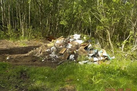 Несанкционированные отходы