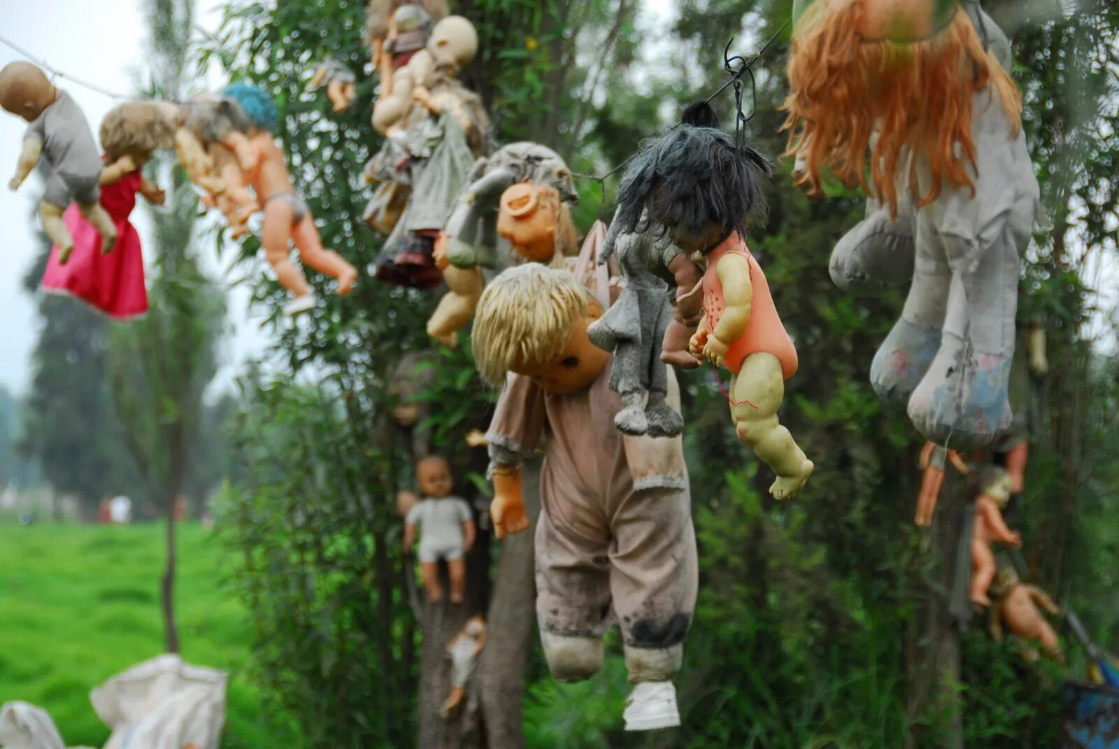 Остров кукол (Island of the Dolls), Мексика. Остров мертвых кукол в Мексике. Остров мёртвых кукол в Мехико.