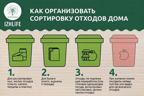 Раздельная сортировка отходов