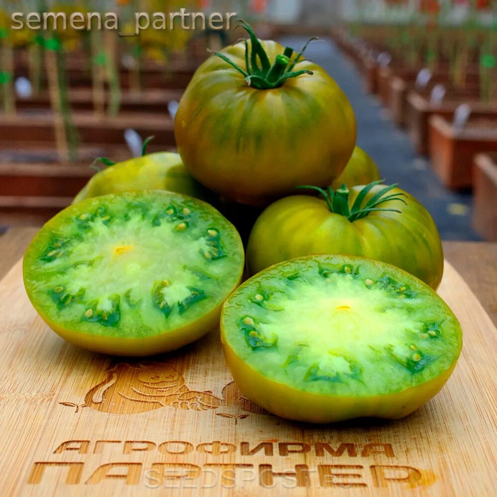 Купить зеленые томаты. Томат зеленая тайна личинки. Томат зеленая тайна личинки партнер. Семена томат зеленая тайна личинки 5шт партнер. Семена томатов зеленая тайна личинки.