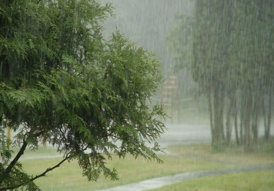 сильный ливень. гроза и дождь. сильный дождь. осадков и сильного ветра. гроза и дождь.