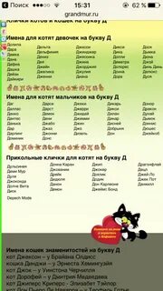 Клички для кошек на букву м