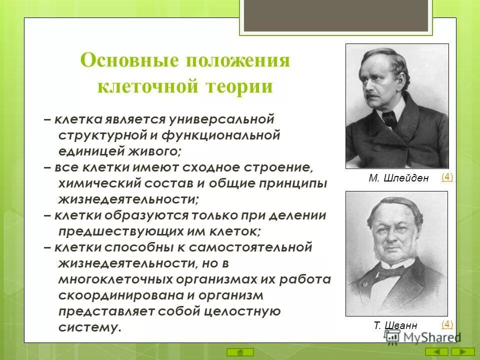 история открытия клеточной теории. кто предложил клеточную теорию.