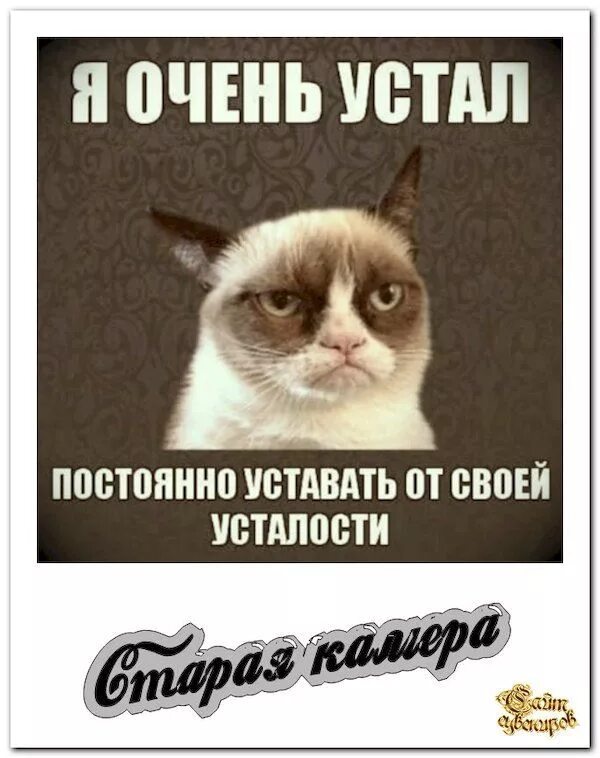 Сильно устал от работы. Сильно устал от работы