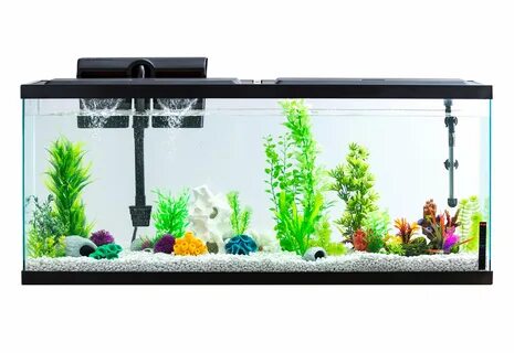 Fishing tank