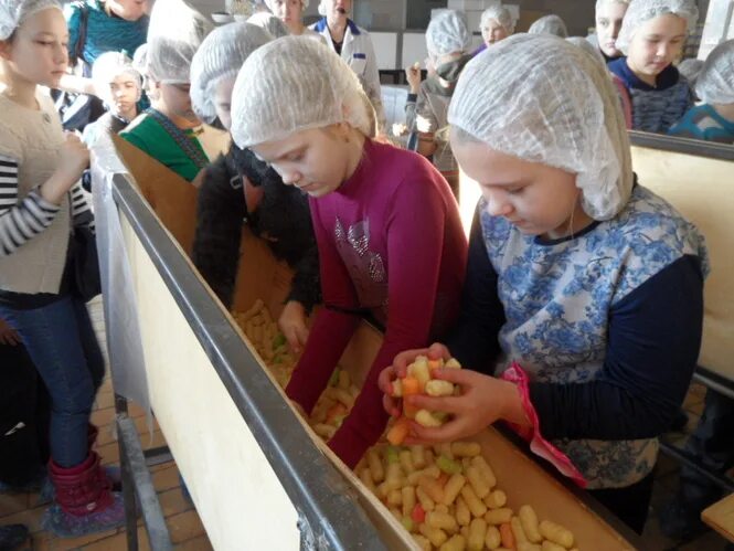 Проект 1 класс экскурсия на кукурузную фабрику Do you want to know how the production of corn sticks works We invite you to vi