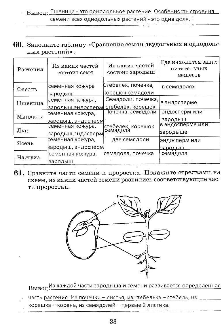 Биология 6 класс Пасечник стр 145 таблица.