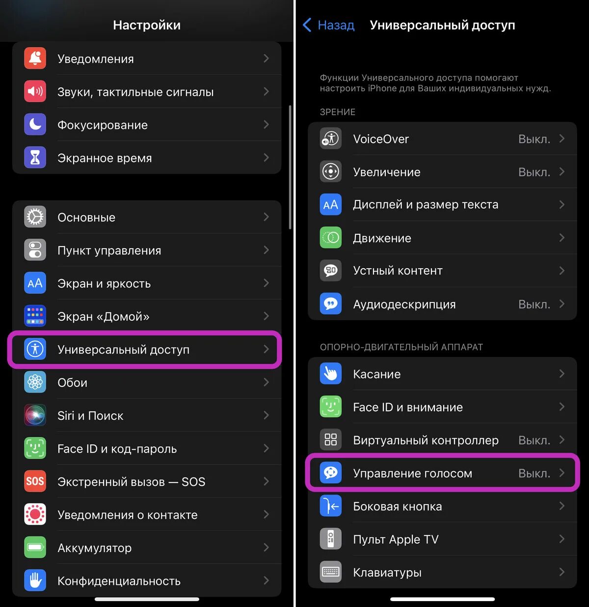 Управление голосом айфон. Убрать голосовое управление. Golosovoy upravleniya. Отключить управление голосом.