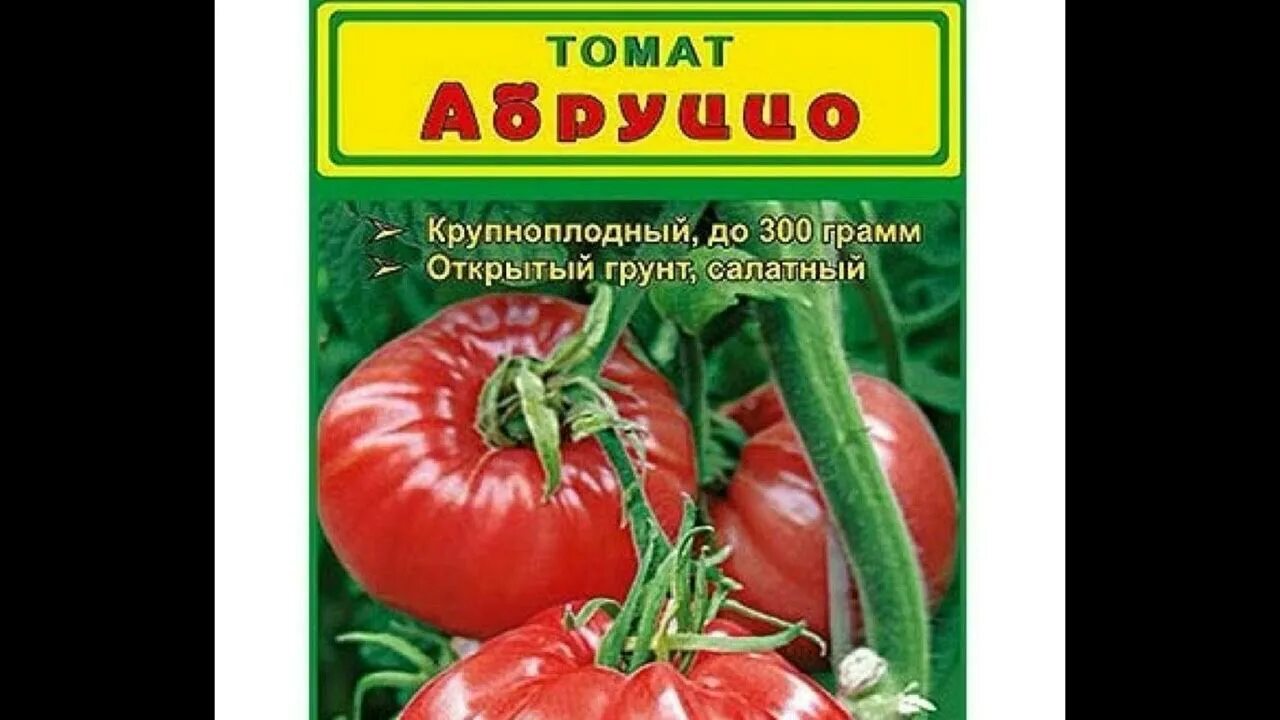 Томат сорт абруццо описание. Томат абруццо характеристика и описание сорта. томат сорта абруццо. помидоры сорт абруццо.