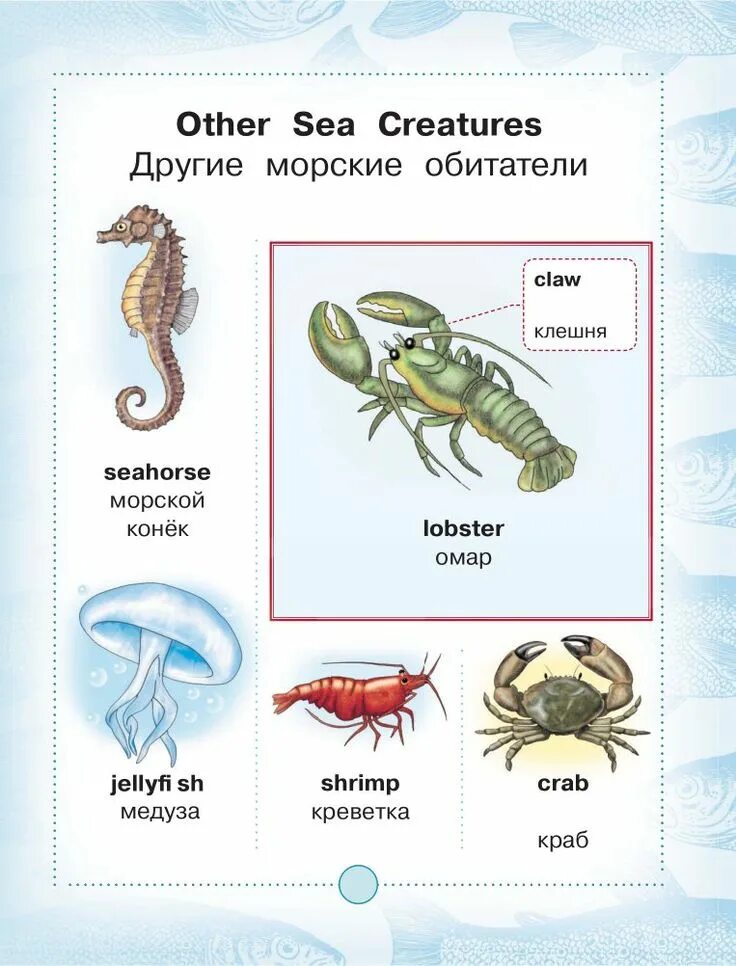 Краб русский язык. Насекомые на английском для дошкольников. Медуза по английски. Морские слова для детей. Морской конек на английском языке.