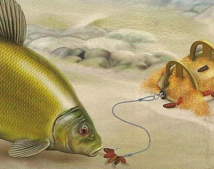 Ловля линя на удочку летом. Оснастка на линя. рыбалка на линя. снасть на линя. оснастка для ловли линя.