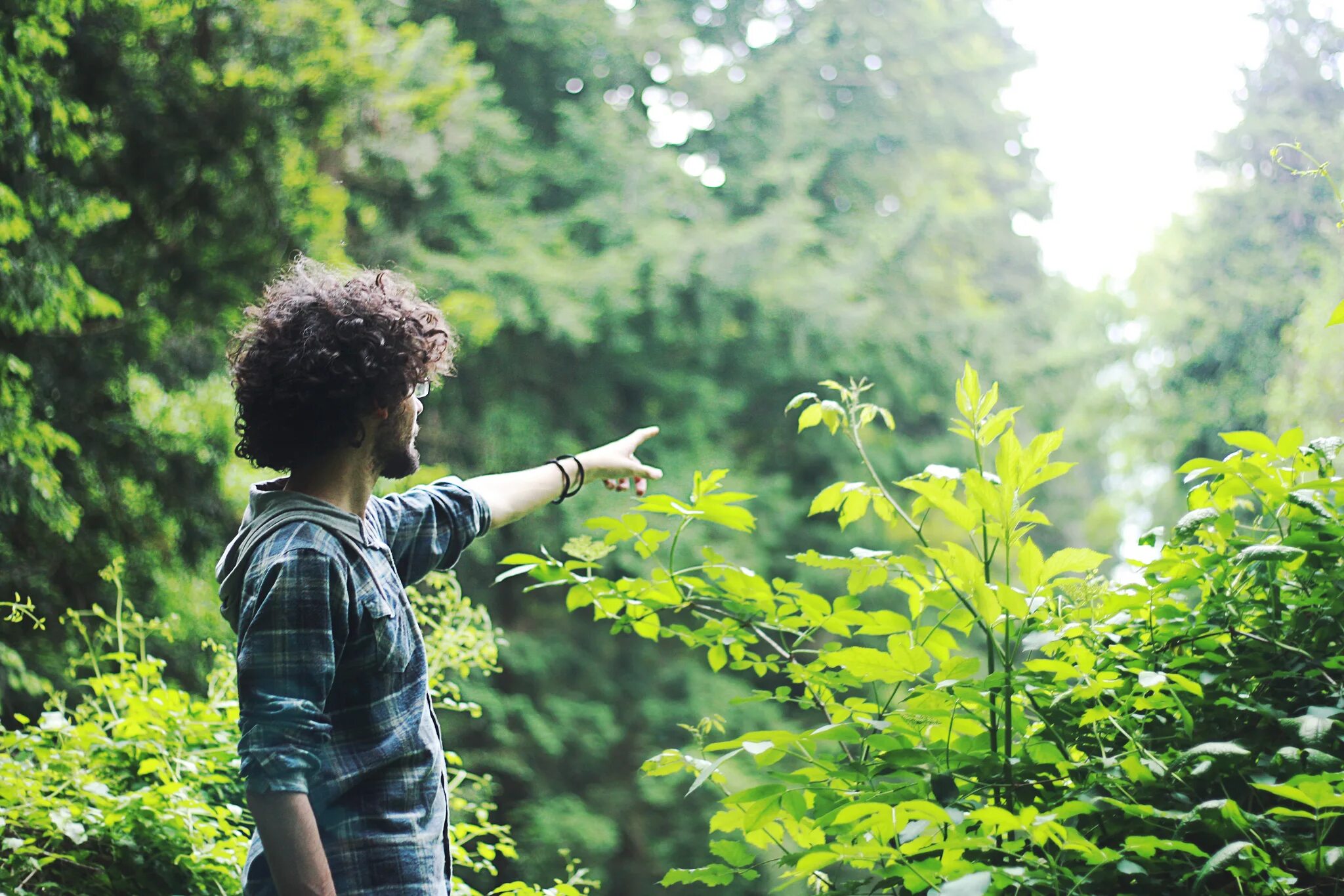 Of the people it seems. Заблудился в лесу. Guy in the Forest. Lost in the Forest. Не заблудиться в лесу.