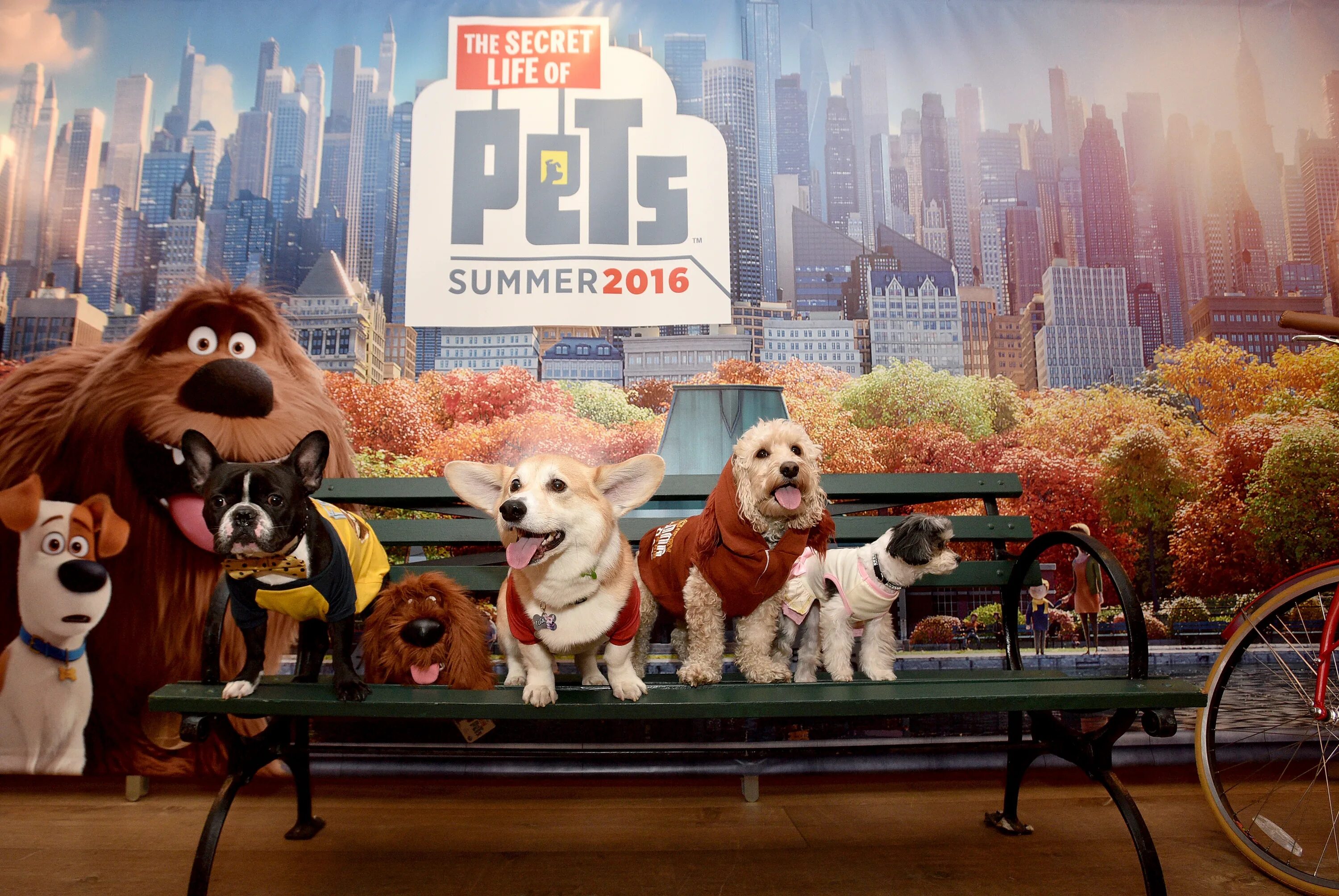 Тайная жизнь домашних животных 2. Secret Life of Pets. Тайная жизнь домашних животных Бадди. Тайная жизнь домашних животных Макс и Дюк. Тайна жизнь дом