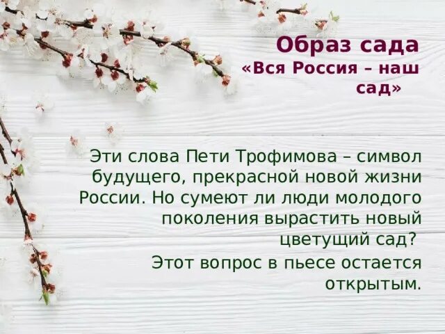 Образ пети трофимова в пьесе вишневый. Монолог Трофимова вишневый сад. Вишневый сад вся Россия наш сад. Вся Россия наш сад сочинение. Чехов вишнёвый сад вся Россия наш сад.