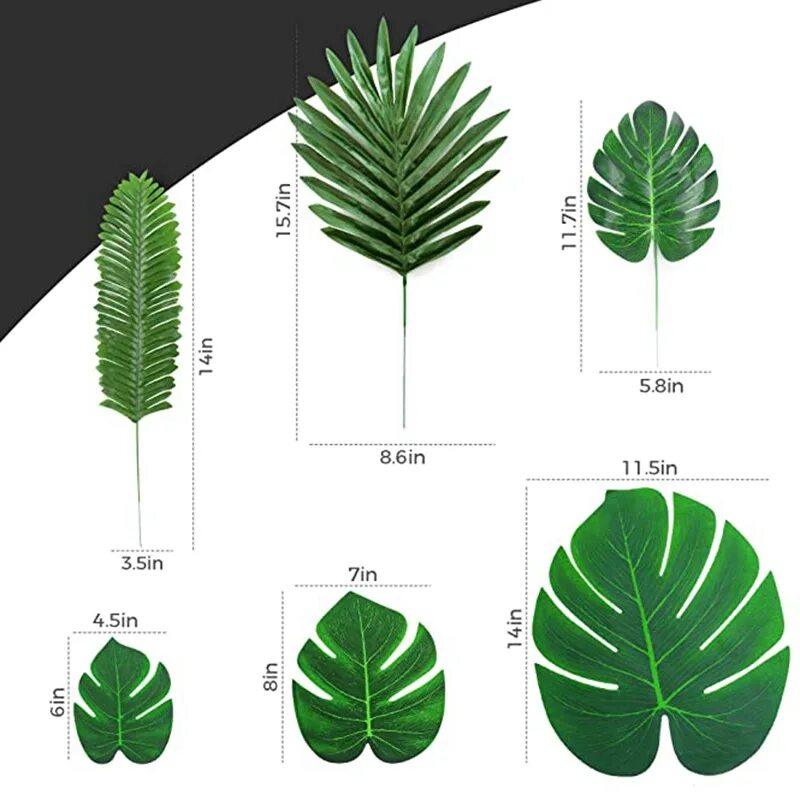 робелини зелень. пальмовые листья название. как называются листья пальмы. тропические листья названия. форма листа пальмы.