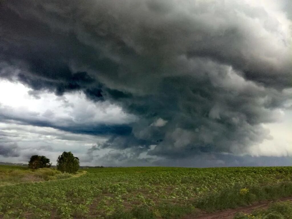 фёдор иванович тютчев стих весенняя гроза. надвигающаяся буря. туча. гроза стих. кумулонимбус грозовые.