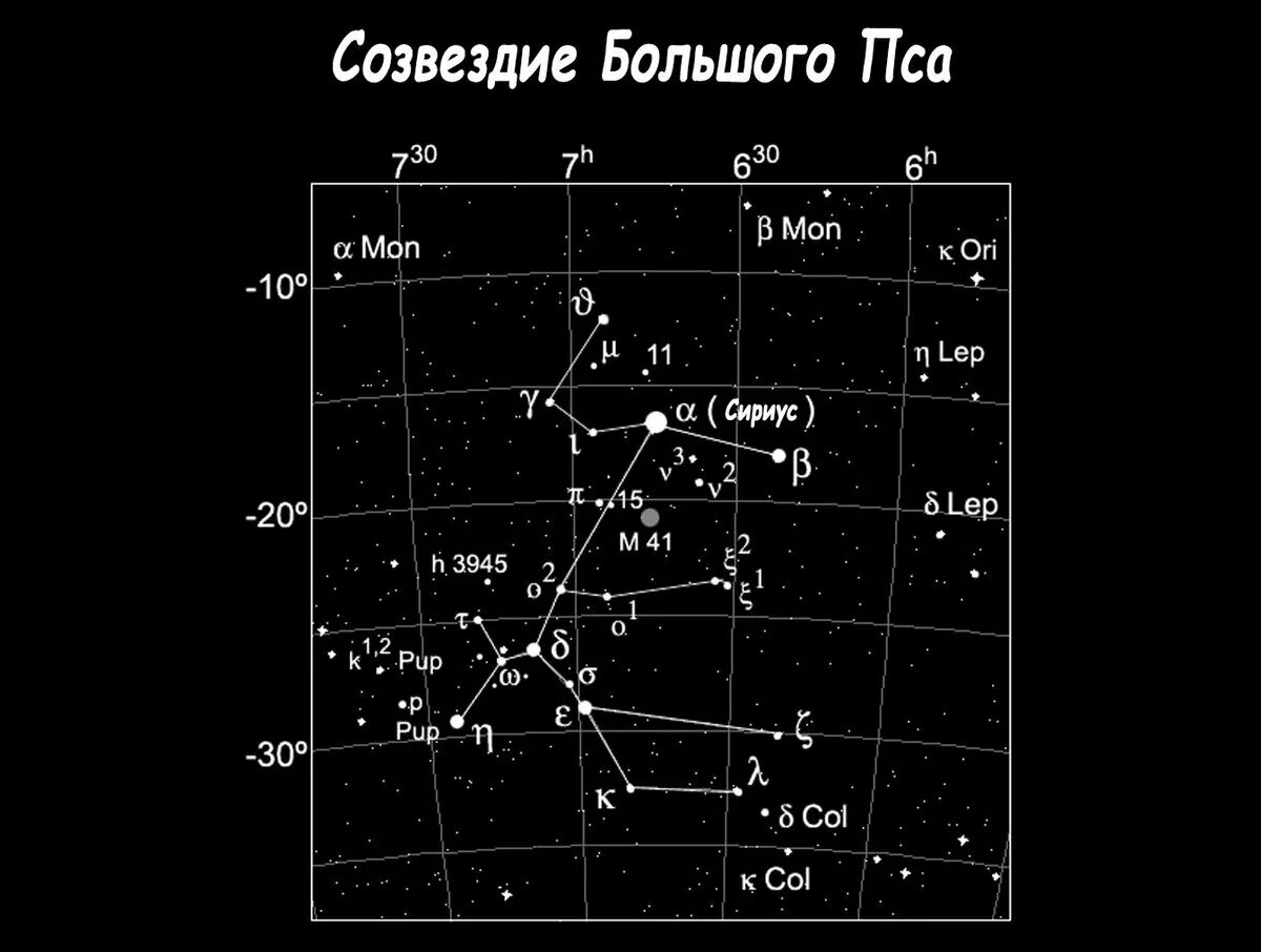 33 созвездия. Созвездие большого пса на карте звездного. Самая яркая звезда в созвездии большого пса. Сириус звезда в созвездии большого пса. Малый пес Созвездие самая яркая звезда.