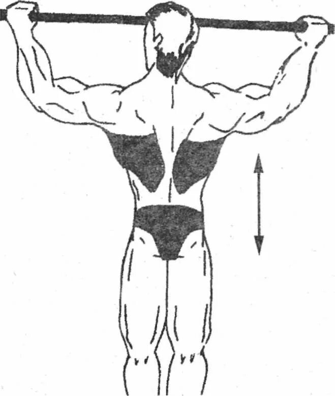 Турник широкий хват мышцы. Подтягивания супинированным хватом. Подтягивания широким хватом. Техника подтягивания на турнике широким хватом. Как дышать при подтягивании